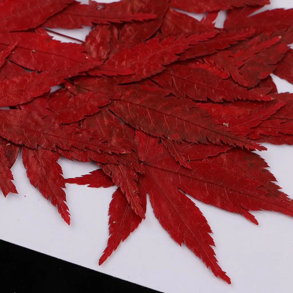 Dried Natural Flowers Crafts Resin Embellishment for Jewelry Making Pendants Cards DIY Home Decoration Kit