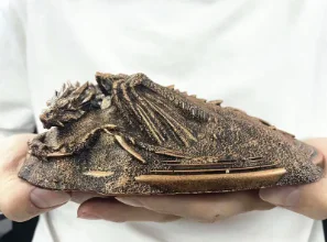 

20cm Smaug dragon resin figure statue toys Collectiondesktop model decoration charming dragon enthusiasts collectible delightful