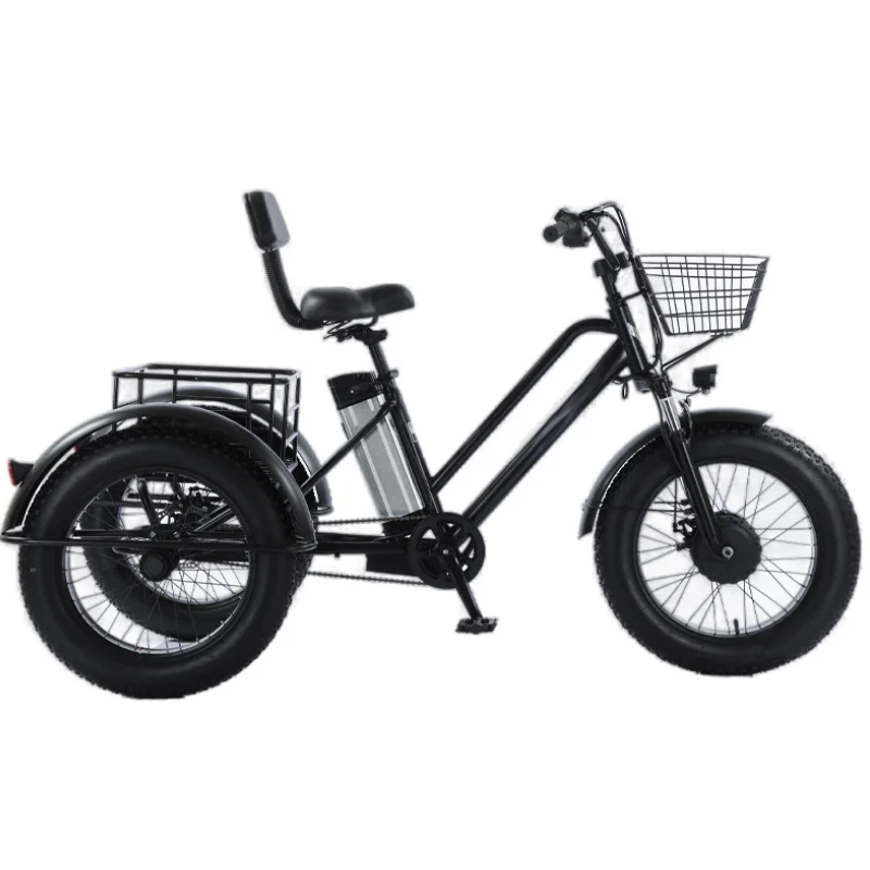 48V 500W 12AH 20 Inch Snow Fat Tire Electric Cargo Bike with Seat for 2 Adult Powerful 3 Wheel Electric Tricycle with Big Basket