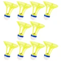 10pcs