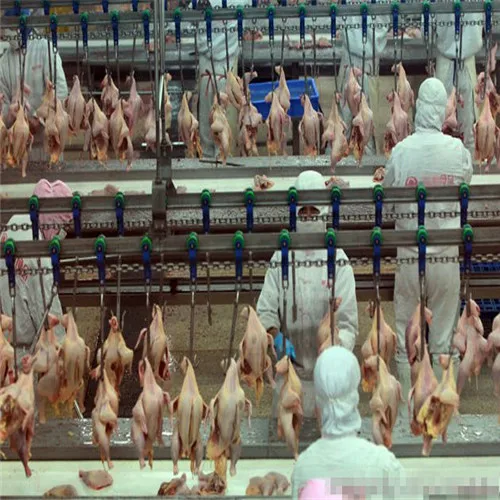 Componentes do motor central e rolamentos completos de equipamentos agrícolas de frango e aves