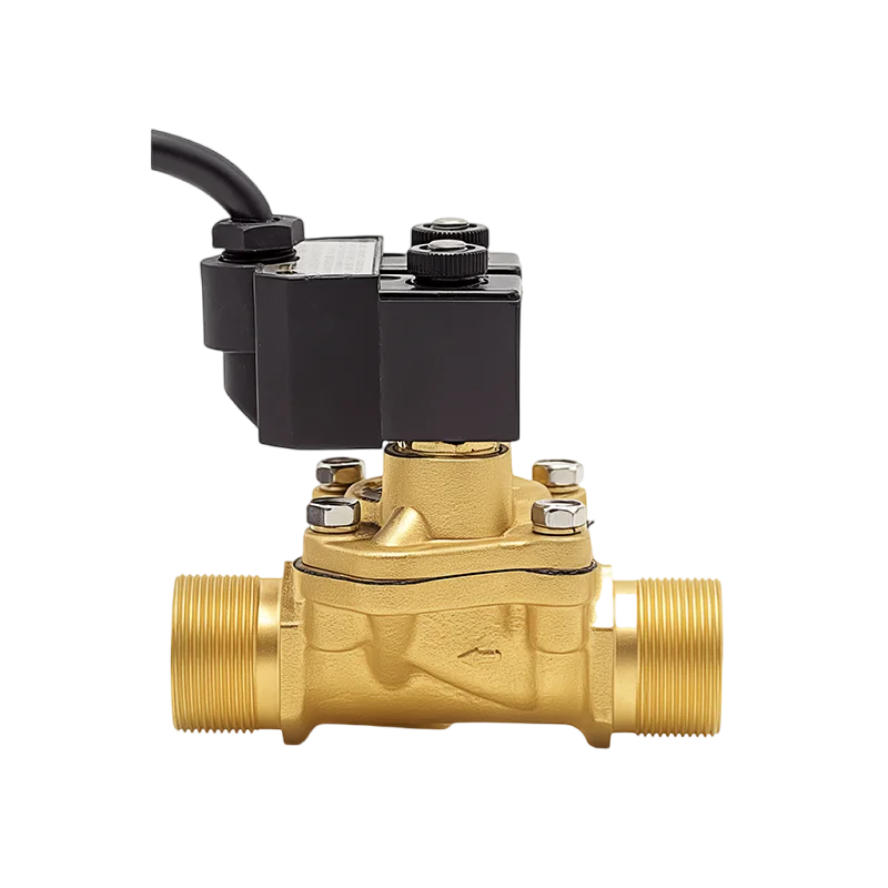 MSF-20 Copper Fuel Dispenser Valve External Screw  Precision Solenoid OEM Customizable for Water Gas Oil Diaphragm for General
