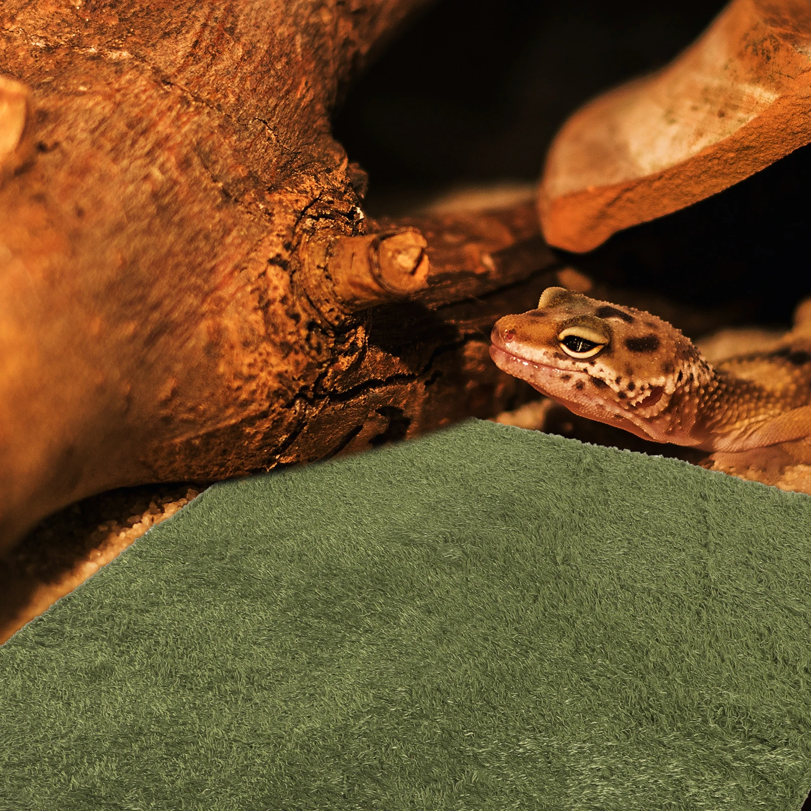 

Fake Lawn Reptile Carpet 40x40 Substrate Liner Reusable Tank Mat Snake Bedding Turtle Lizard Terrarium Liners Pet Breeding Box