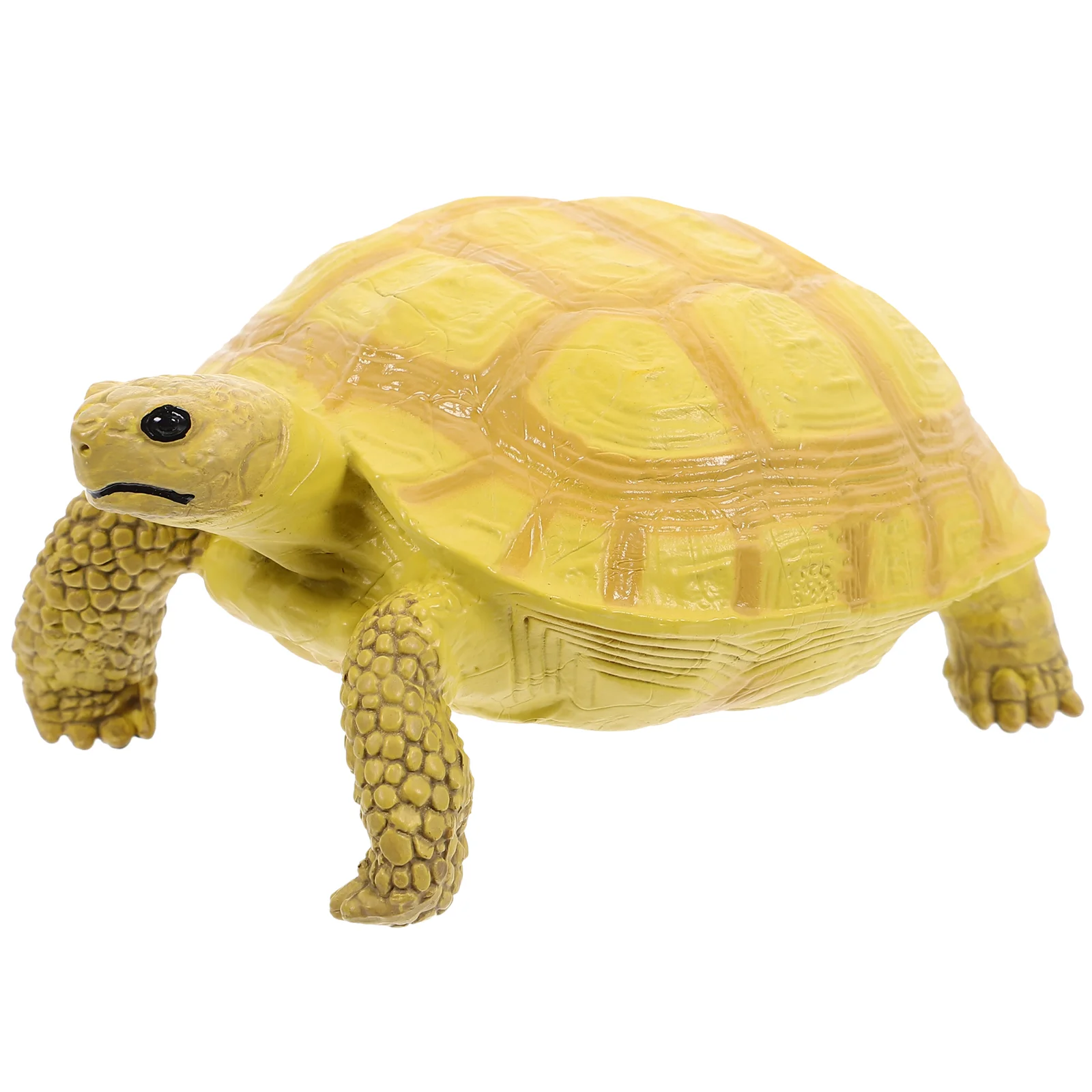 Realistic Land Tortoise Model Toy Plastic Figurine Child Educational Animal Collection Kids Learning Nature Playset