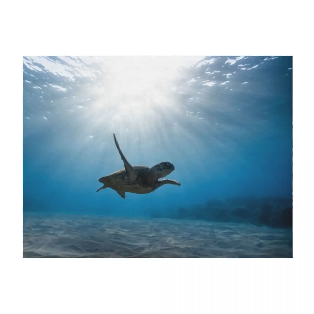 

Blue ocean sea turtle - summer sea swimming turtle oceanography Throw Blanket Furry blankets ands wednesday Single Blankets