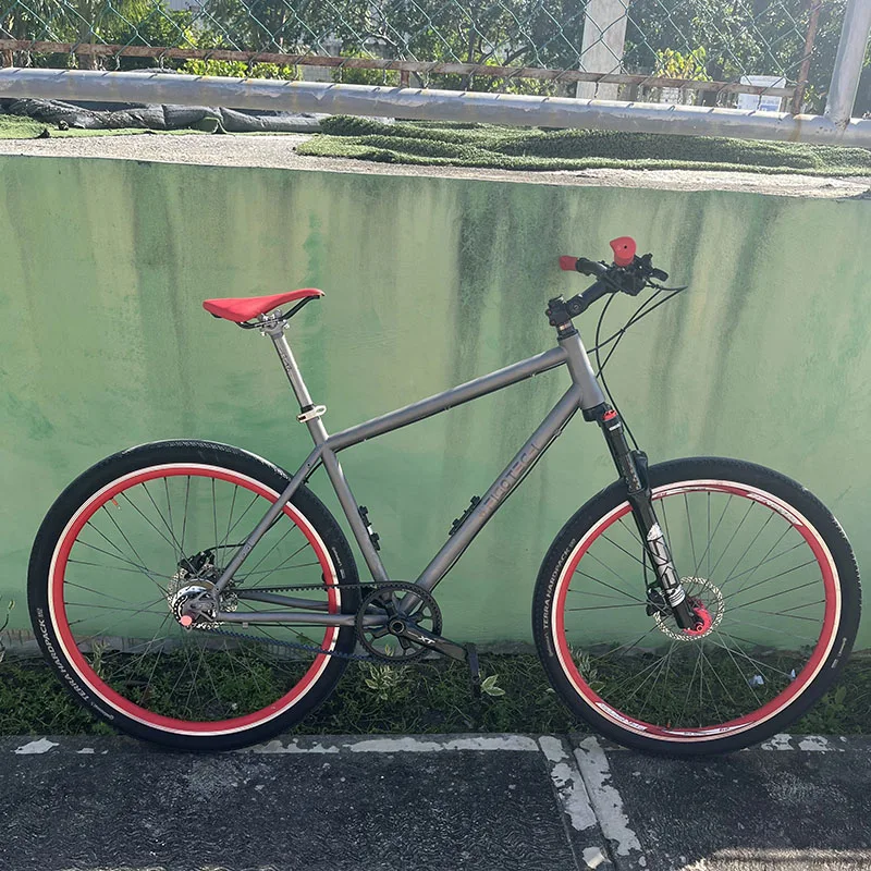 

TIRIS-CRR9 Gravel Bike Frame with Sliding Dropout Gates Belts Drive for Rohloff Internal Gear Bicycle Framework 700C,Custom