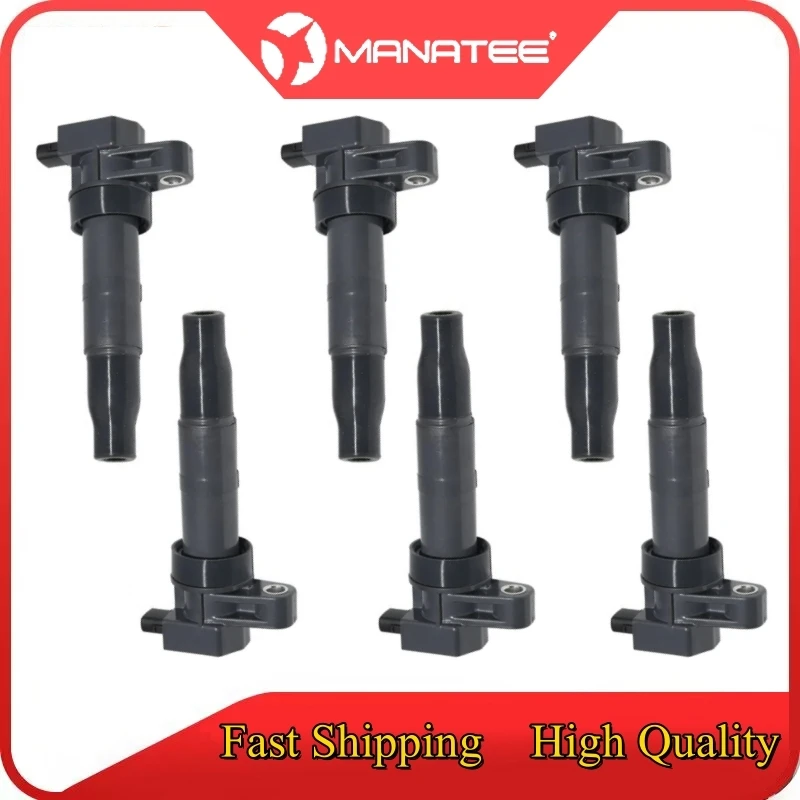 

6 PCS Ignition Coil for Kia K9 2014/ Borrego 2007/Carnival 2014/Sorento 2002-2009/for HYUNDAI Grand SantaFe 2016 27301-3C000