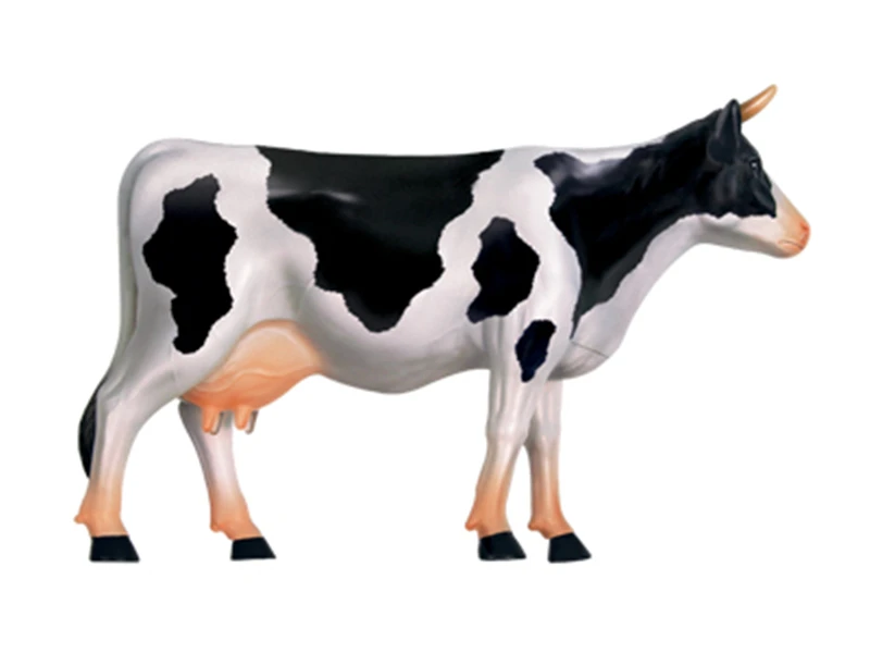 Educational assembling toys simulate animals, creatures, teaching models for organ anatomy medicine of dairy cows.