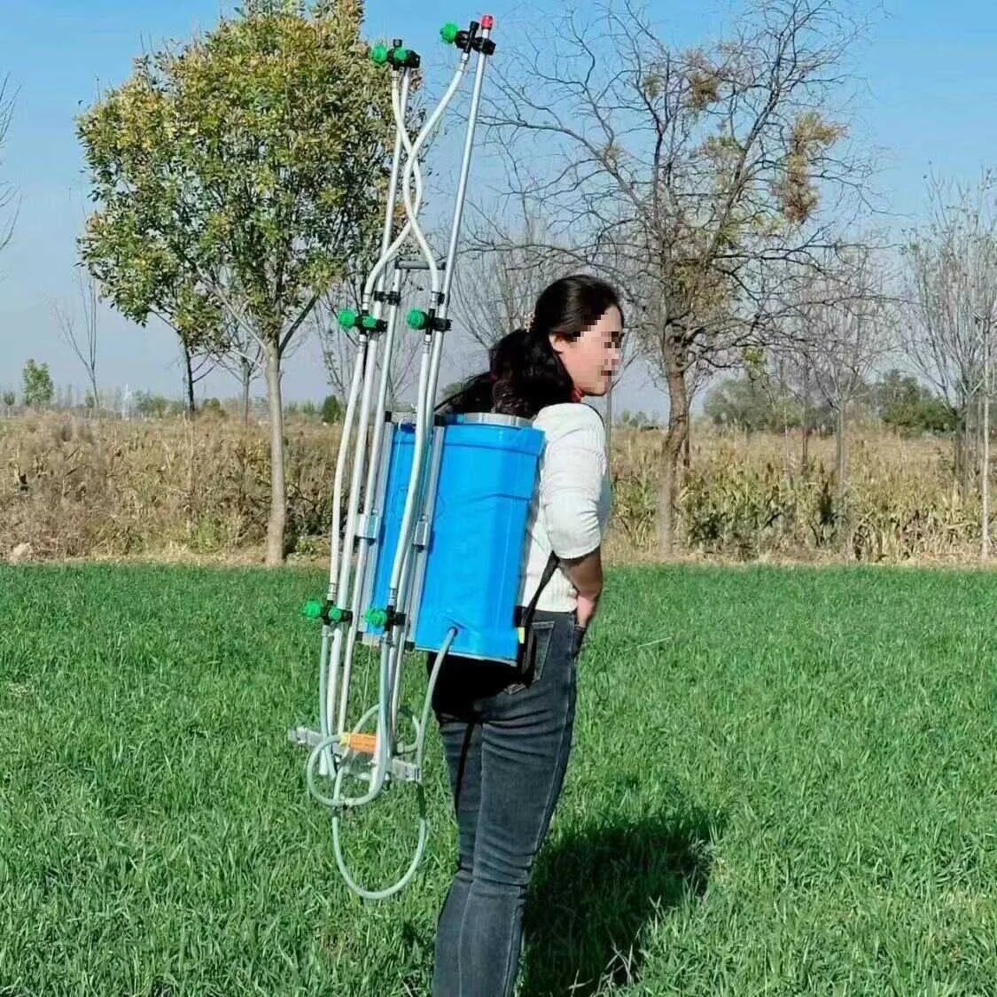 2025Electric Knapsack Farming Battery Sprayer for Agriculture Agriculture Spray Can Spray tank Sprayer Agriculture