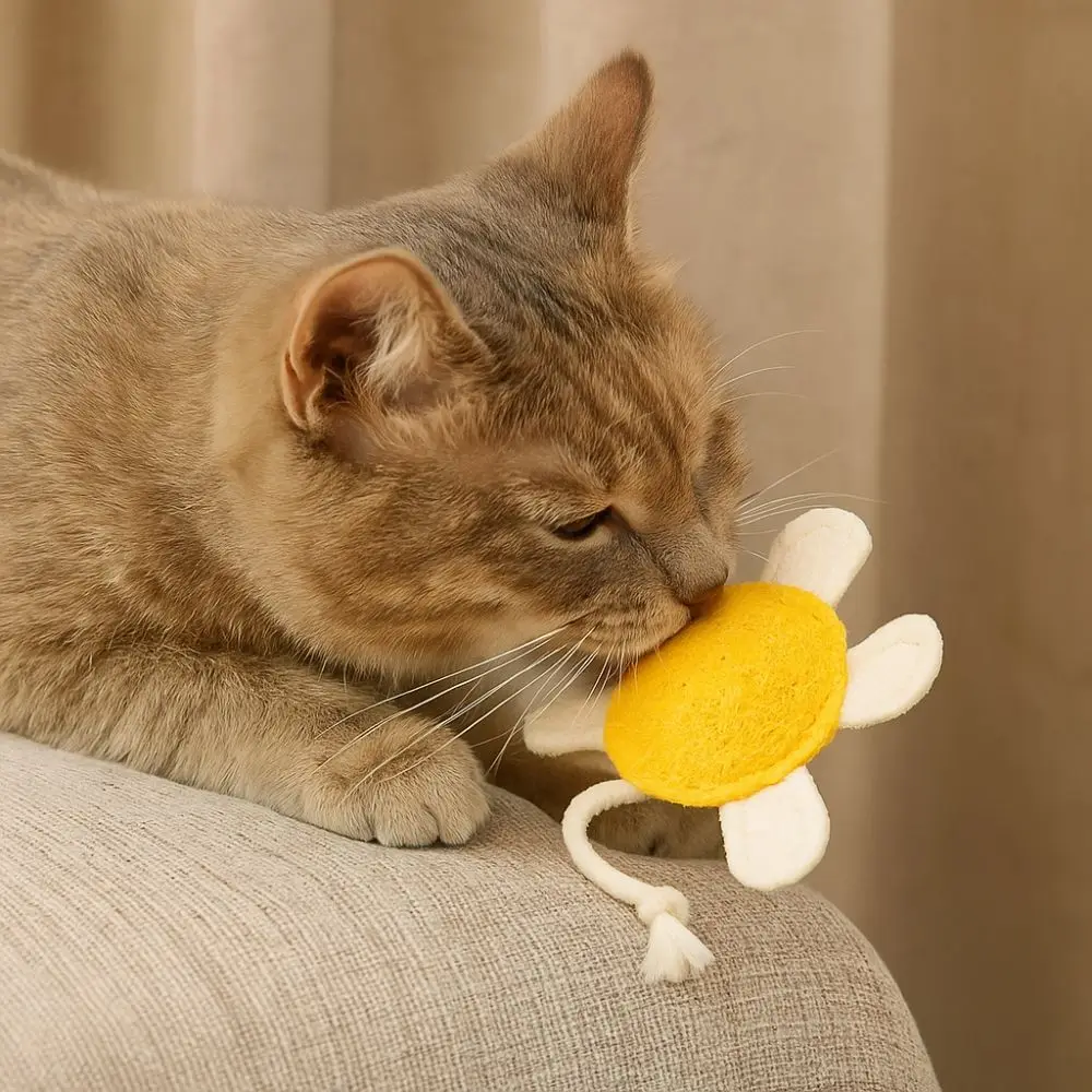 

Cartoon Cat Teeth Grinding Toys Bite Resistant Turtle/Duck Shape Kitten Chewing Toy Wear Resistant Interactive Cat Toy
