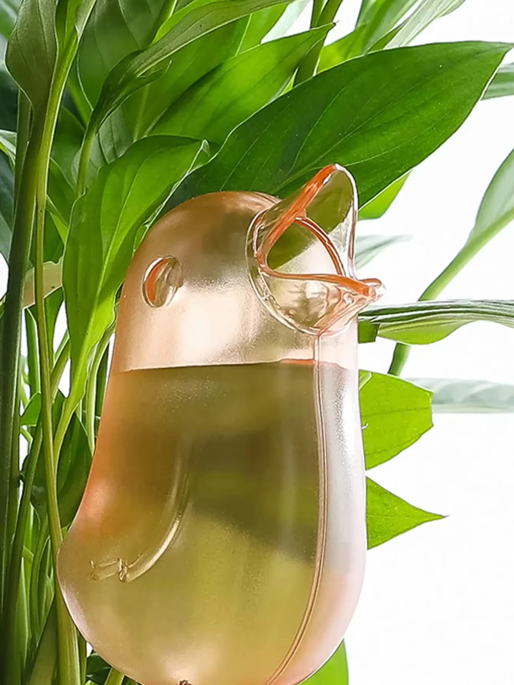 سقي الزهور الأوتوماتيكي، بالون مياه ذاتي السقي، سقي نباتات بلاستيكي منفوخ يدويًا على شكل طائر لحديقة المنزل #2