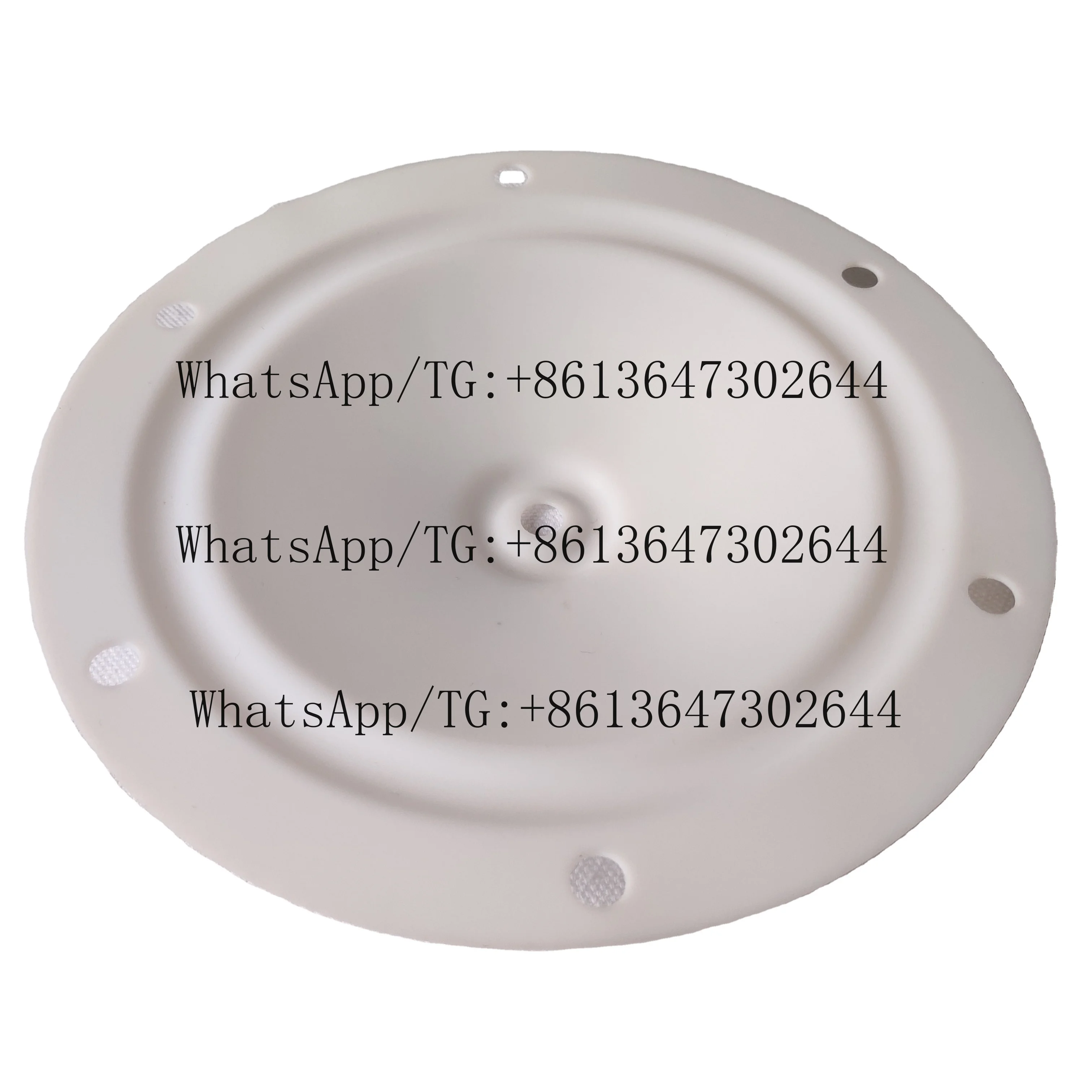 BLAGDON Brand 15-033 PTFE Diaphragm Chemical Memeber for Diaphragm Pump Parts Rubber Products Pneumatic Diaphragm Pump