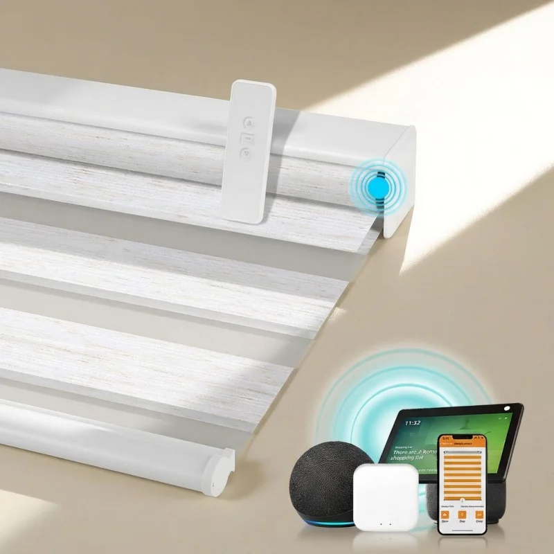 

Custom Size Day Night Double Layer Fabric Wifi Tuya Phone Alexa Google Home To Control Automatic Zebra Blinds For Living Room