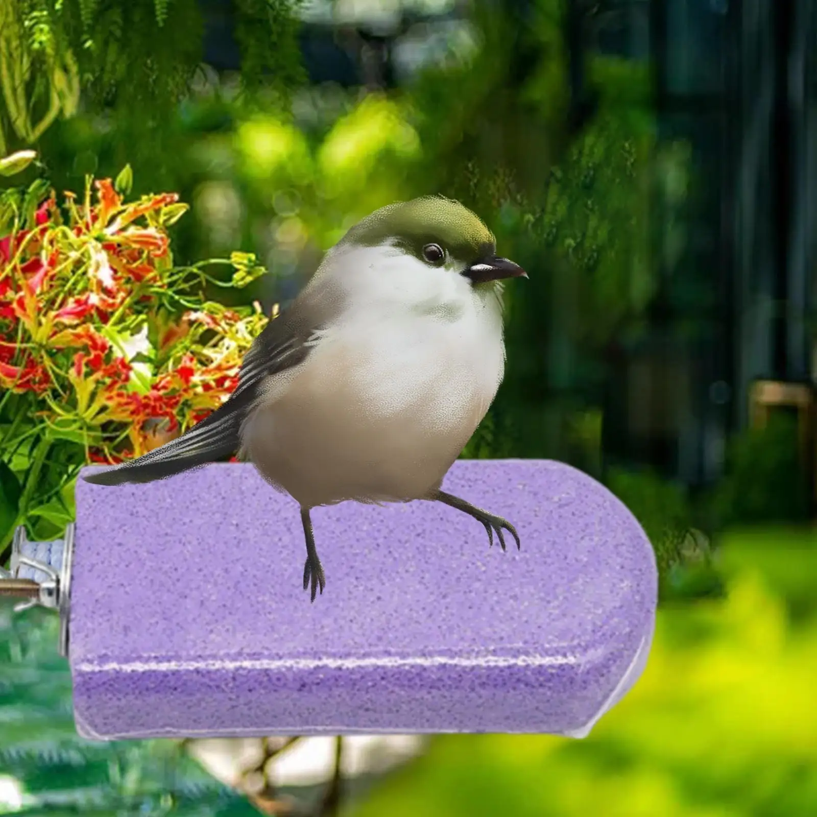 Bird Perch, Sharpening Stone, Parrot Stand, Trimmer for Cockatiels, Parakeets And Grey Parrots