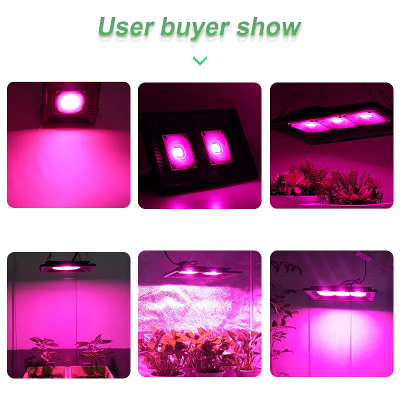 AC 110V 220V LED 50W COB Grow Lights IP65 Full Spectrum 660nm for Hydroponic Outdoor Greenhouse Plant Growth Bloom Seedling Veg