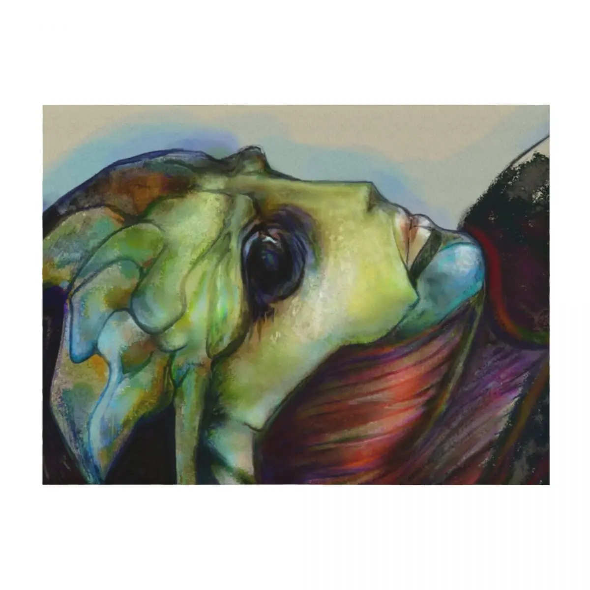 

Thane : Throw Blanket Weighted Luxury Thicken Bed covers Bed Blankets