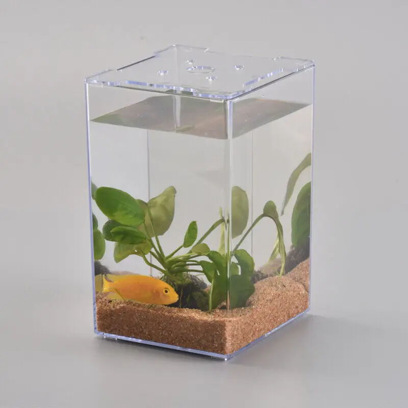 Petit aquarium carré transparent pour la décoration intérieure, récipient précieux pour poisson rouge, accessoire de bureau