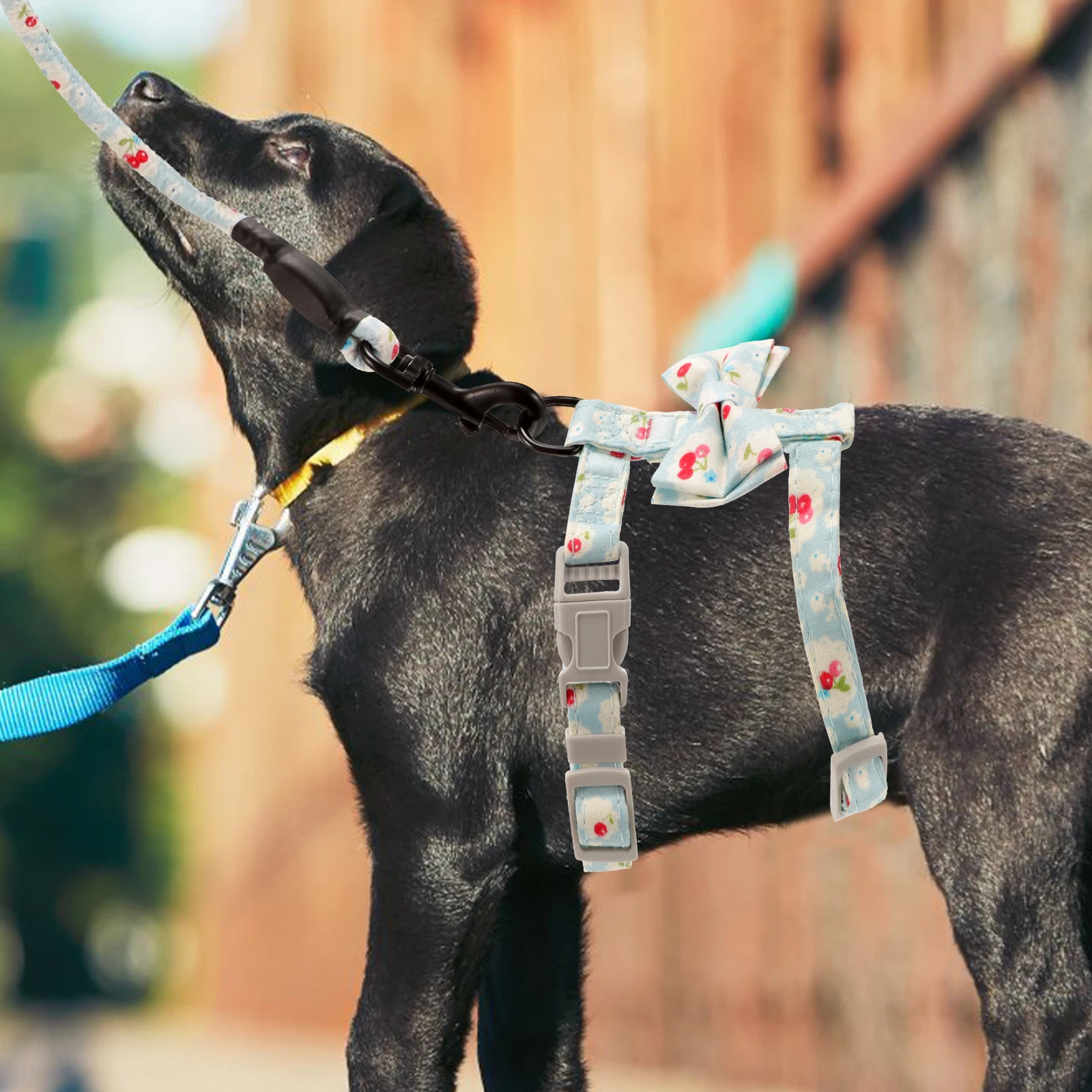 

Leash Small Harness Adjustable Chest Strap Rope Leads Belt Supplies Durable Safe Walking Outdoor Sports Accessories Dog Pull