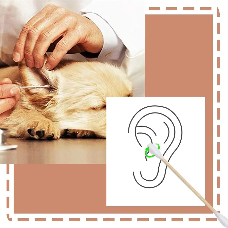 Organic Cotton Swabs with Wooden Sticks 200 Pcs of Pack qtips Cotton Swabs Pure Natural Bamboo Biodegradable Double Round Tippe