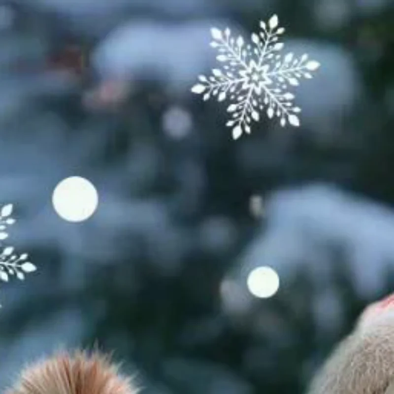 Christmas Window Clings With Cute Santa Cat Snowflake Pattern Removable Self Adhesive For Home Shop Xmas Decoration