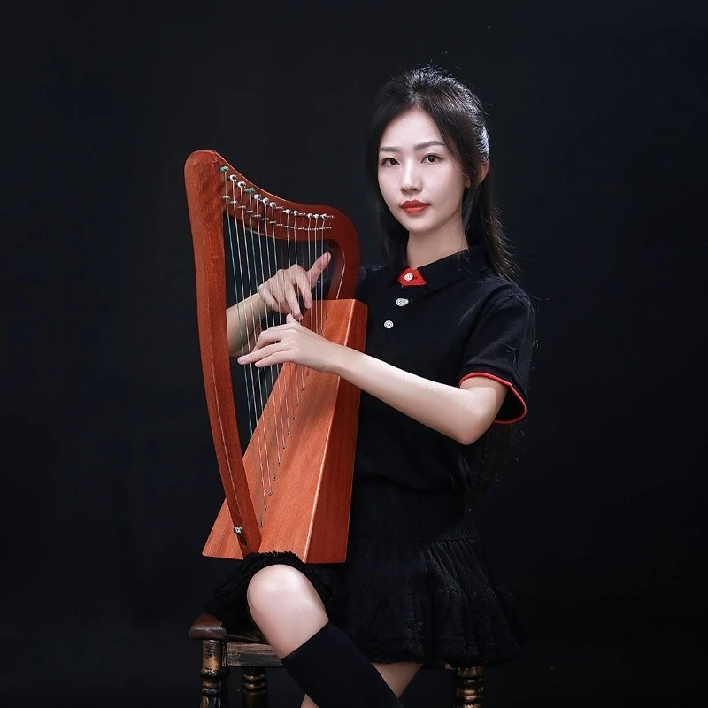 Introduction to the Harp Irish Small Harp 19-String Portable Small Beginner Instrument Chromatic Keys