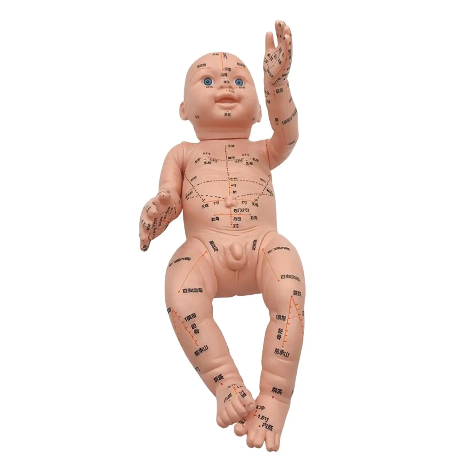 

Infant Chinese Acupuncture Model Anatomy Sculpture Figurine