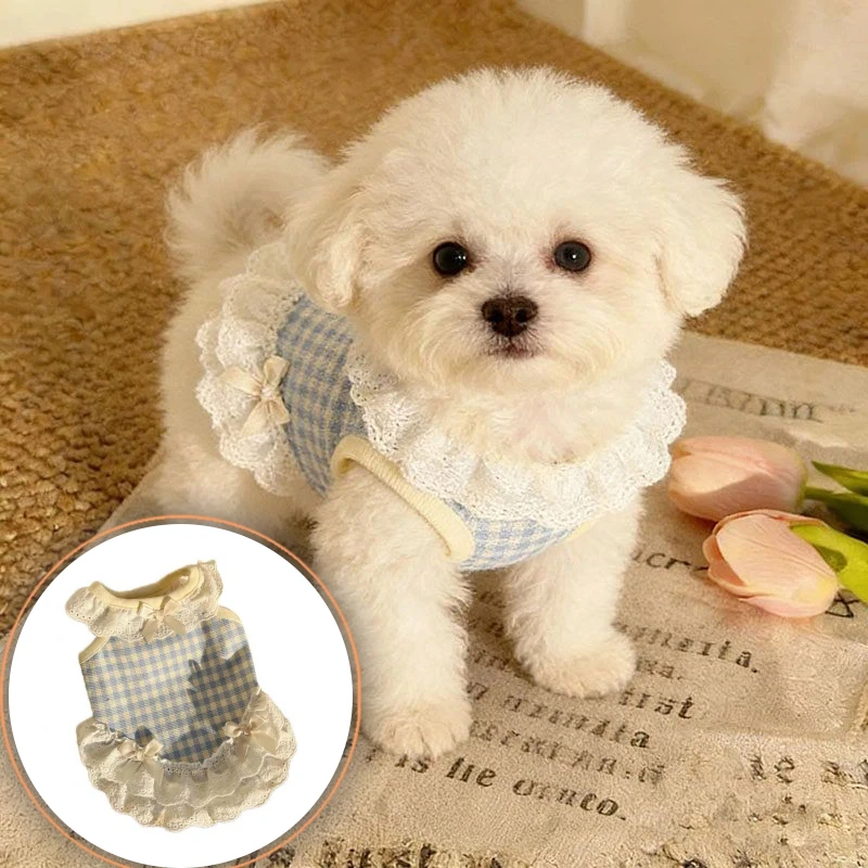 

Small Puppy Teddy Bear Dog Vest Princess Style Casual Bow Dog Clothes Summer Pet Lace Skirt Dog Accessories Puppy Spring Clothes