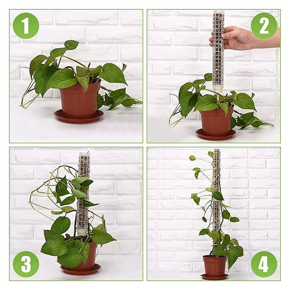 12 قطعة عمود الطحلب البلاستيكي 15 بوصة عمود شبكي شفاف طحلب صغير عمود الطحلب حصة للنباتات Monstera أصائص زرع-ABQU #5