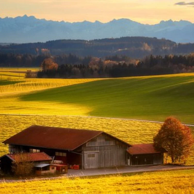 

60A Матовый ESC + 540 Щеточный двигатель 35T 45T 55T для радиоуправляемого автомобиля 1/10 TRX TRX4 TRX6 D90 HSP Redcat 4WD Truck Monster Crawler