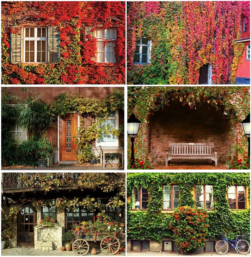 

Flowers House Vine Trees Natural Street Backdrops Birthday Baby Family Portrait Autumn Backgrounds Photographic Studio Banner