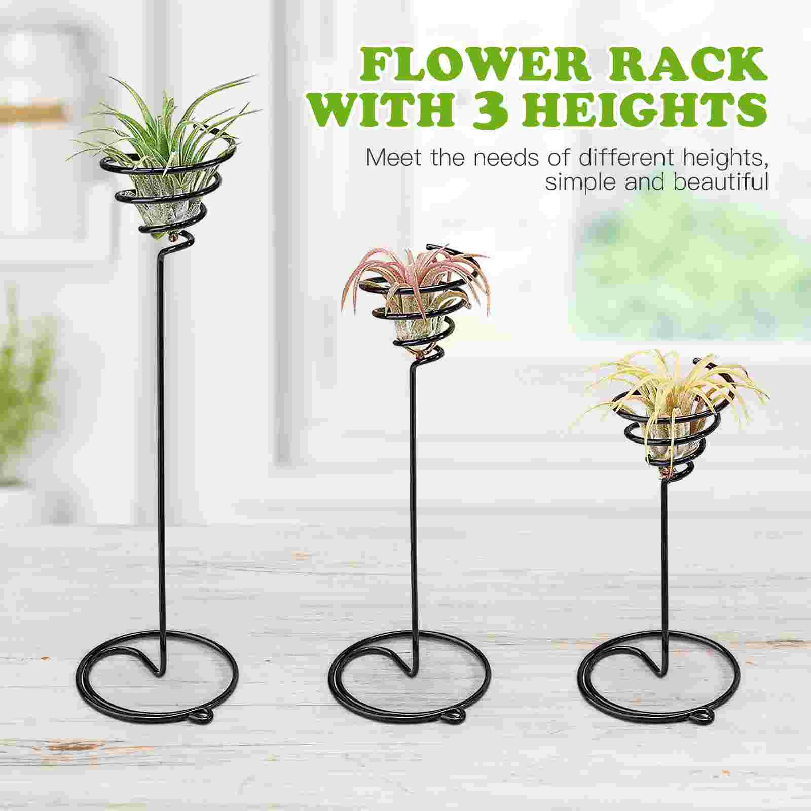 3 Pcs Air Plant Holder Spiral Flower Stand Desktop Tillandsia Display Rack Premium Metal Rust Resistant Home Office