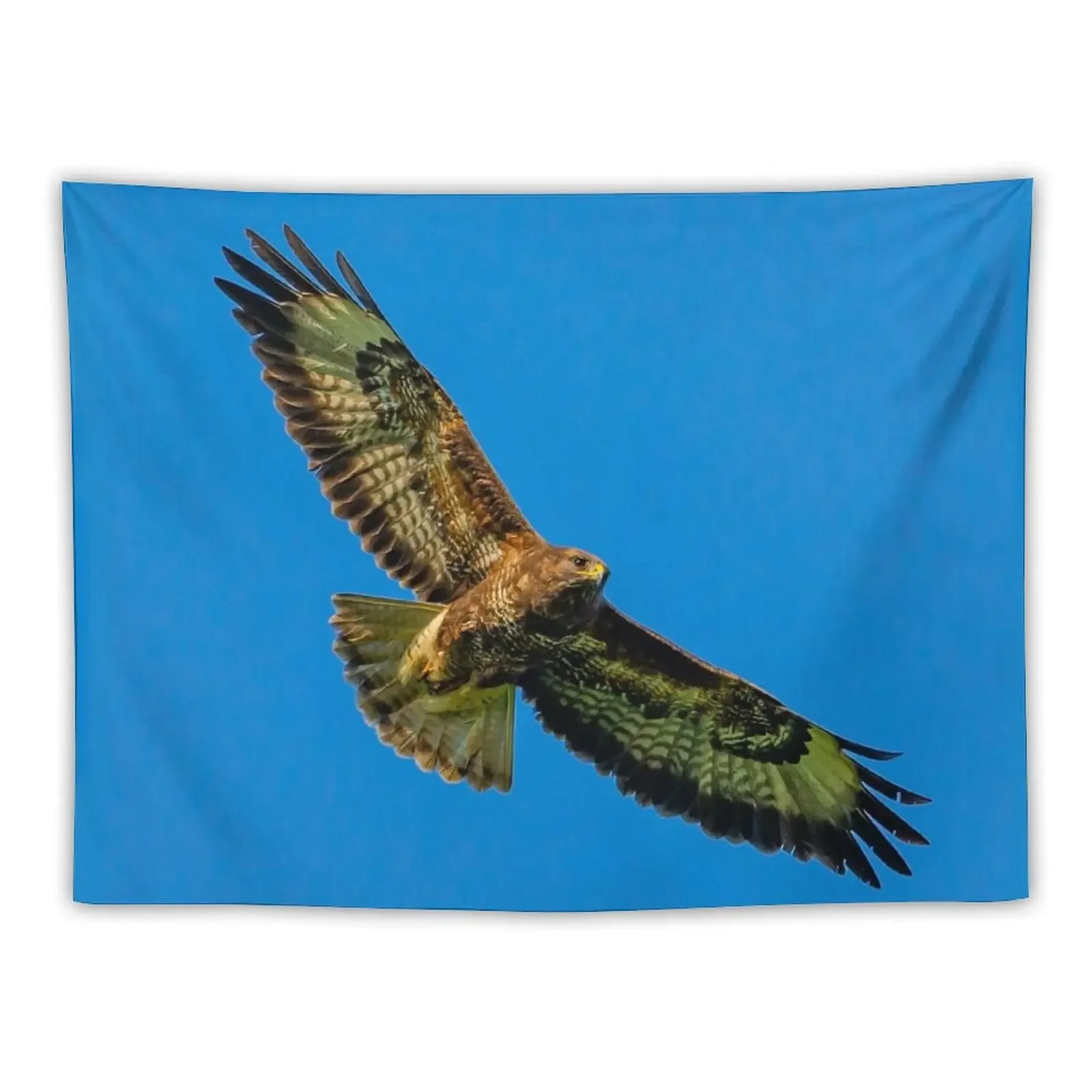 Soaring high Buzzard Tapestry Room Decor For Girls Things To Decorate The Room Tapestry