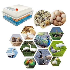 Vollständig automatischer Ei -Inkubator -Set, häusliche Brutfärbung, Farmhähnchen, Gänse, Ente, Vogel, 20 Eier 8 Hauptverkäufe inkubieren - №5