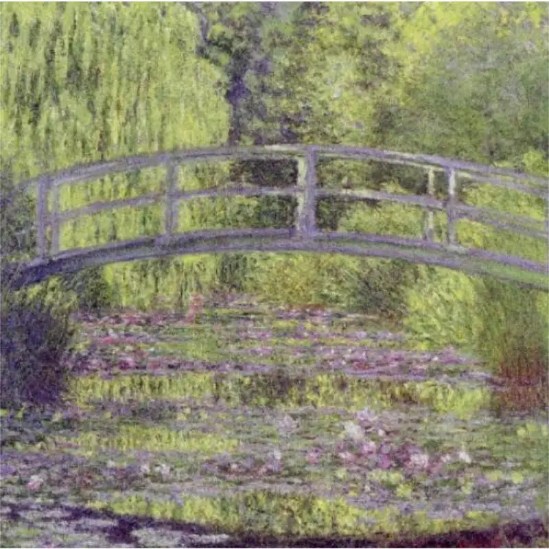 متحف مونيه مونيه تشينغوان شي 9784861522666 كتاب