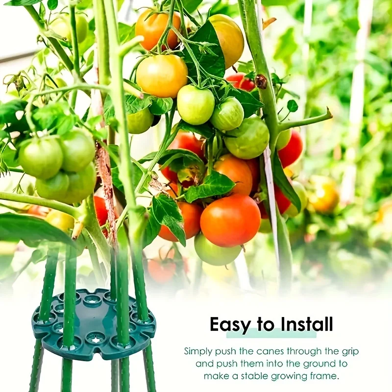 10 Pack Garden Plant Holder Connectors: Bamboo Cane Holders, Plastic Plant Support & Protection Trays