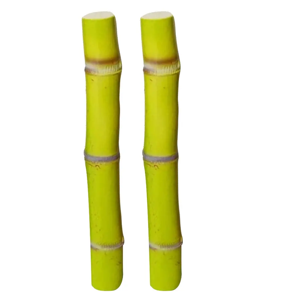 

2 шт. Имитация сахарного тростника для детей, креативный обучающий инструмент, высокодетализированная имитация еды, украшение для стола, полки, спальни