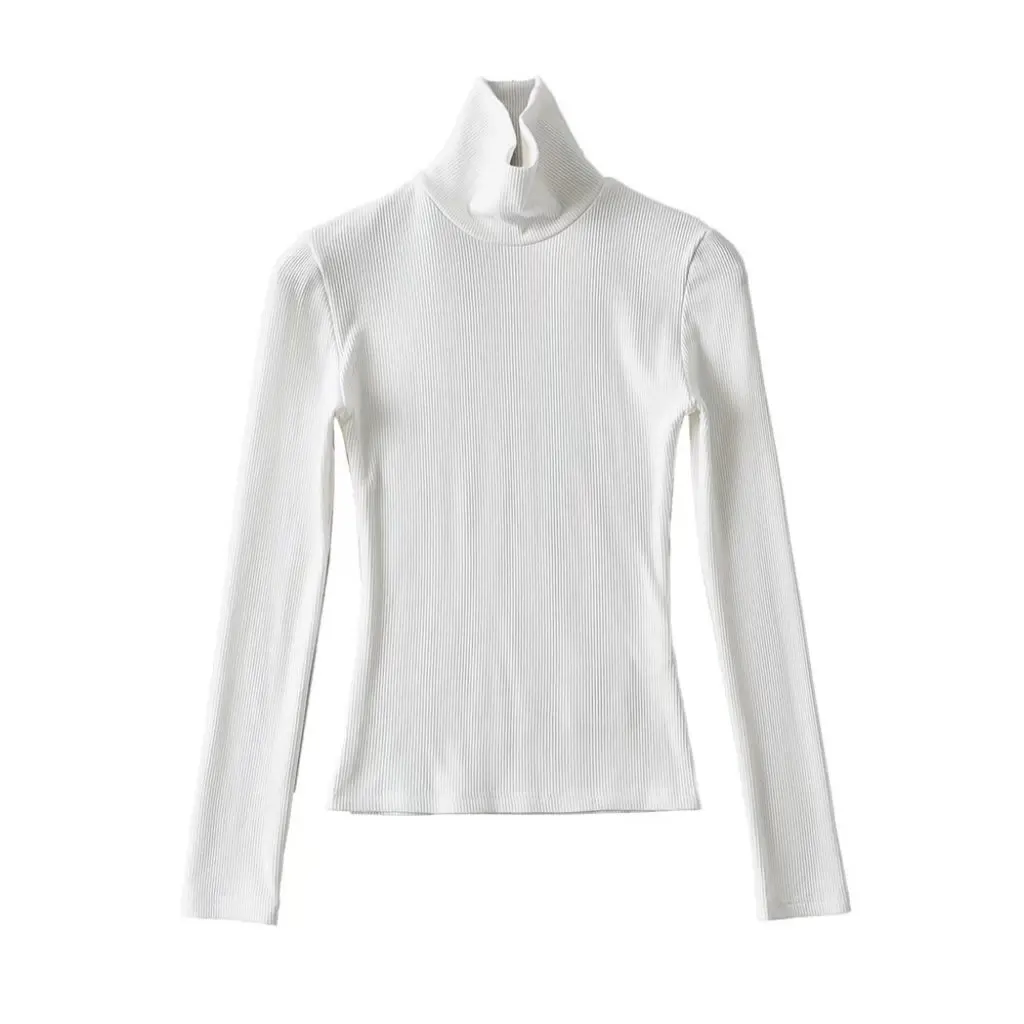 

YPFF Women's Slim Fit Long Sleeve T-Shirt High Collar Warm Sanding European American Style Solid Color Stretch Bottom Shirt