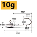 10 g
