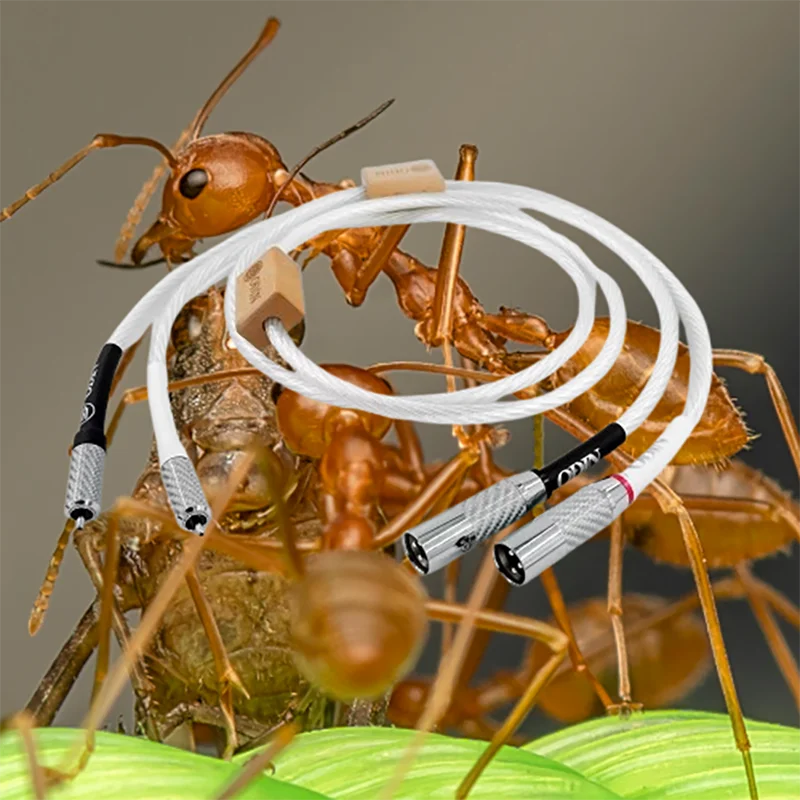 

Эталонный аудиоразъединитель RCA-XLR — посеребренный сердечник 7N OCC с тройным экраном от электромагнитных помех ​