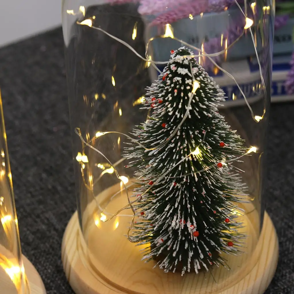 Modern Glass Display Dome Cloche with Suspended LED Fairy Lights Xmas Gift Plant Flower Vase Container DIY Landscape Projects