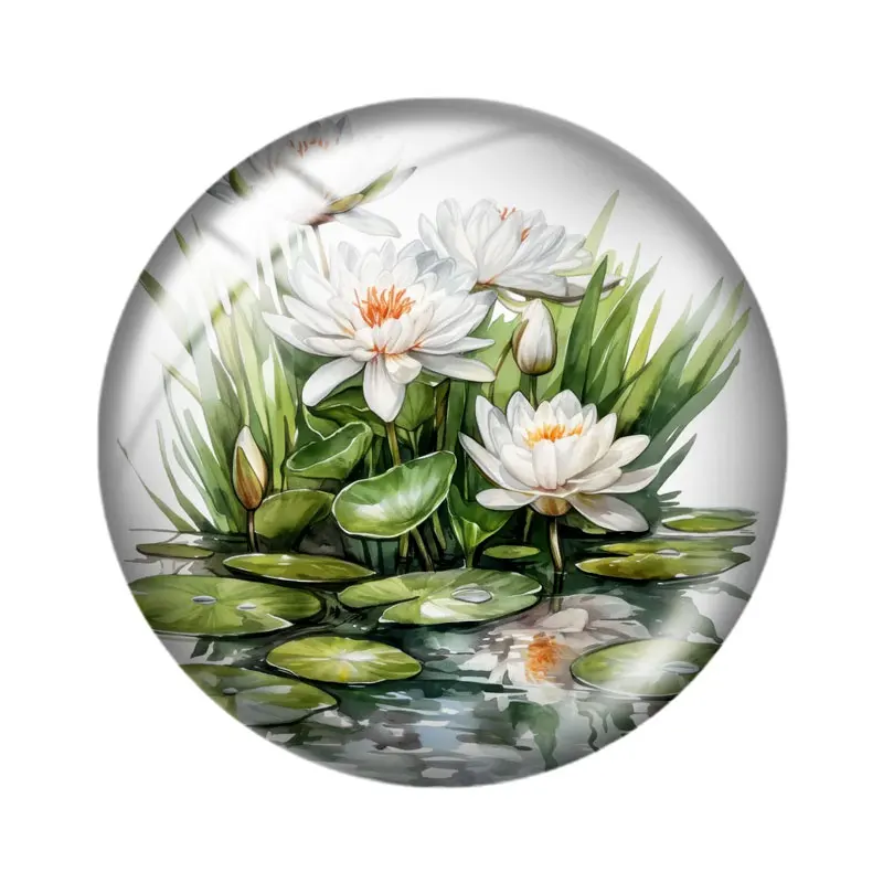 Water Lily Illustrations  10pcs 12mm/18mm/20mm/25mm Round photo glass cabochon demo flat back Making findings