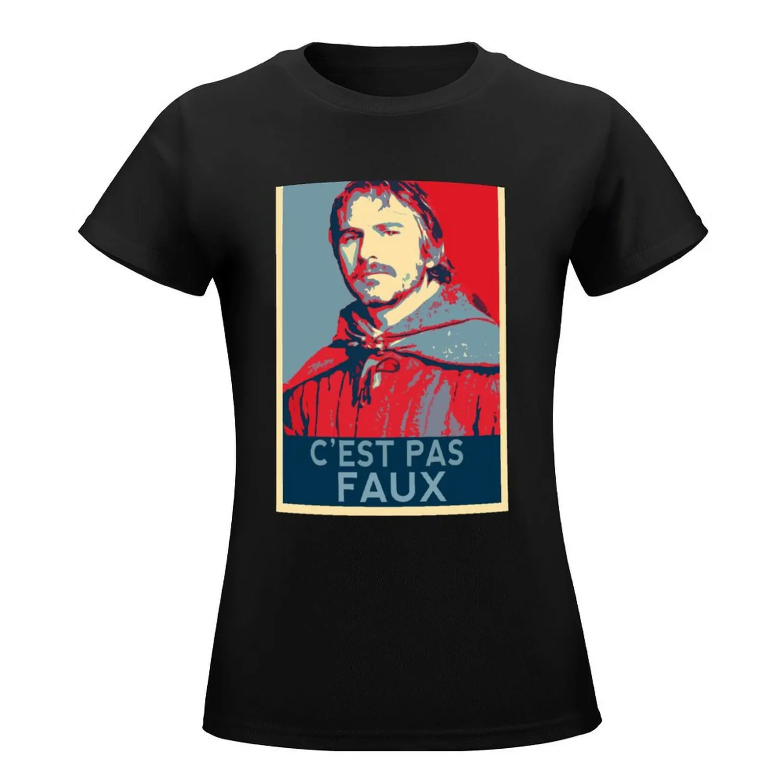 Kaamelott - Perceval Hope Style - C'est pas faux T-Shirt tees female funny t shirts for Women