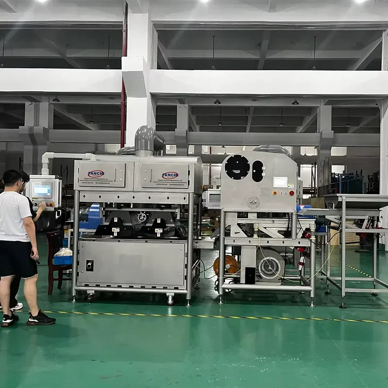 Fanchi-tech Electrostatic Hair Separator Hair Sorting Machine Reliable Separation of Hair Paper Fiber Dust in Bulk Material