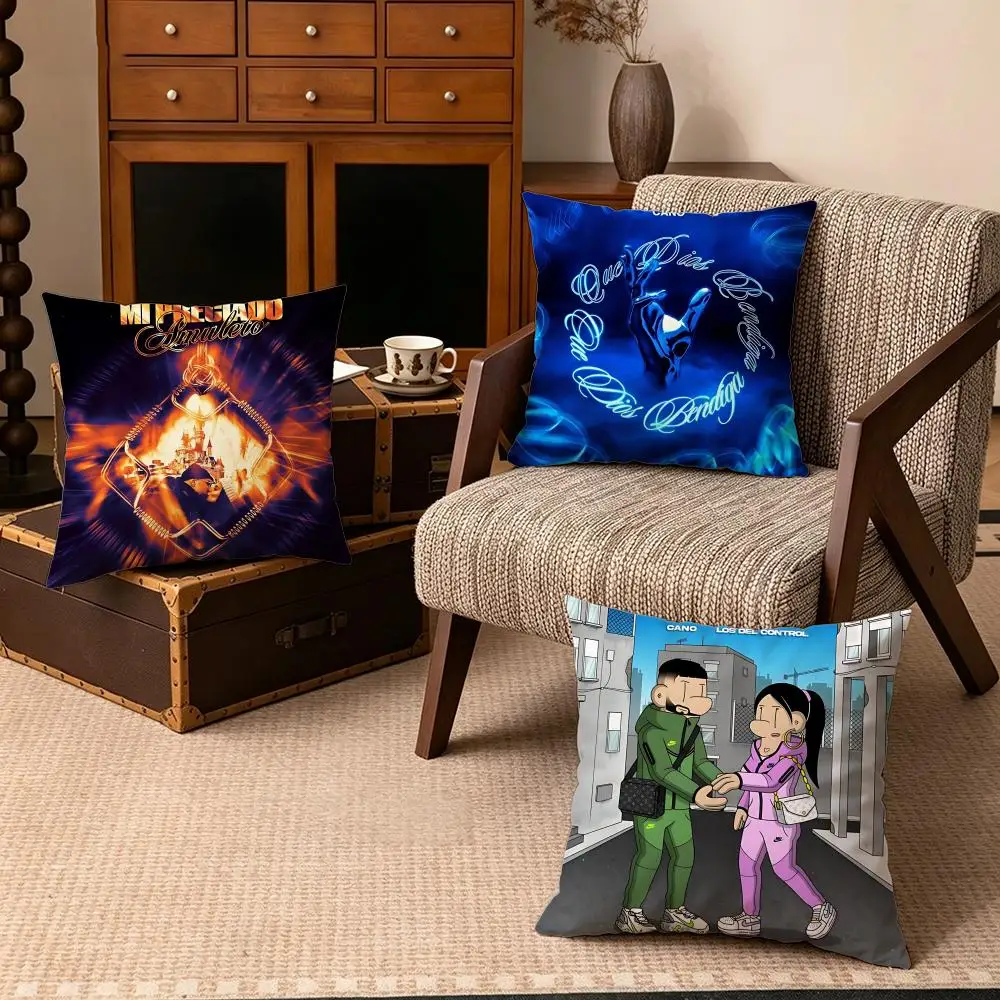 Celebrity-CanoS Cushion Cover Soft Velvet Cushion Cover Set 4Pcs 50x50 45x45 Zipper Pillowcase for Home Decor