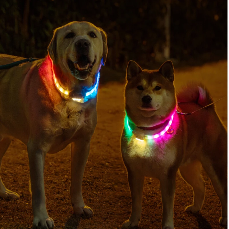 Dog luminous collar night light Walking dAnti-lost pet luminous