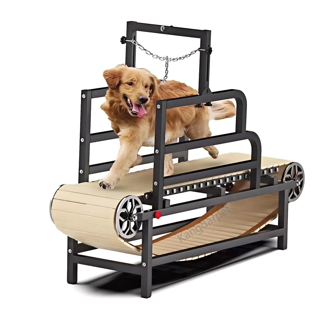 Foldable Dog Treadmill for Small/Large Dogs | CE Certified Adjustable Speed & Non-Slip Belt | Pet Weight Loss & Rehab Equipment