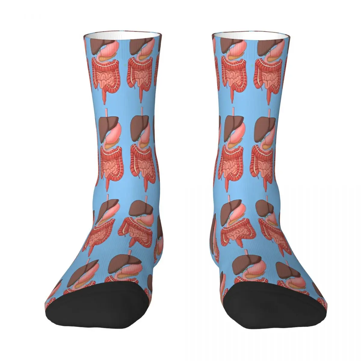 

Digestive System Medical Illustration Human Organs Sock Socks Men Women Polyester Stockings Customizable Sweetshirt