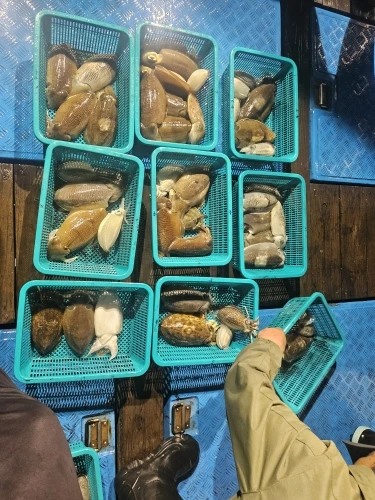 구매후기