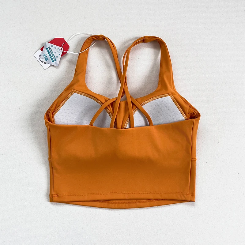 A yoga fitness bra, a professional fitness training bra for women, a yoga fitness halter bra for women