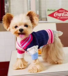 Dog and Cat Sweater, Pet Clothes, Autumn and Winter, New, 2023